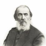 Поэт Яков Полонский. Фото 1888 г.